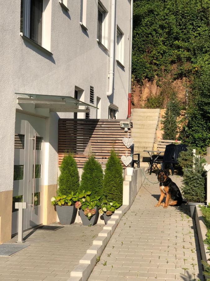 Ferienwohnungen Lamisto Am Waldesrand Neckartenzlingen Esterno foto